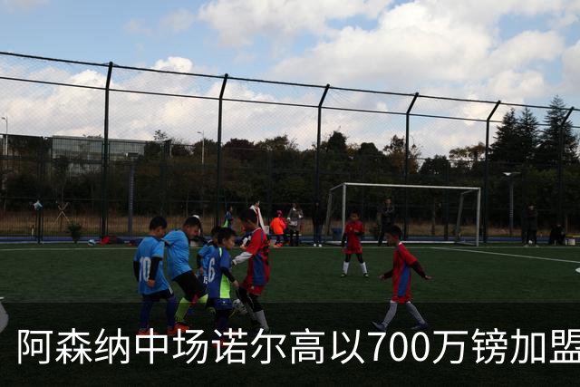 阿森纳中场诺尔高以700万镑加盟埃弗顿